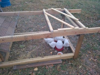 Doghouse Chicken Tractor: Update Image